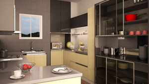   Kitchen Interiors