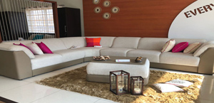 Living Room Interiors