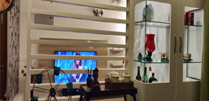 Living Room Interiors