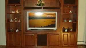 Living Room Interiors