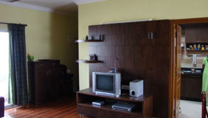 Living Room Interiors