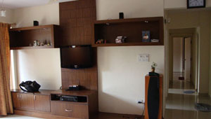 Living Room Interiors