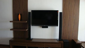 Living Room Interiors