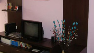 Living Room Interiors